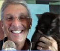 How Can a Pet Rescue Adoption Cat Help You in Your Business?