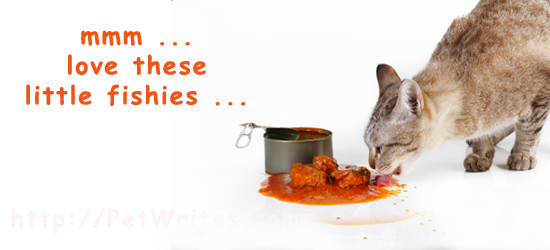 Best Wet Cat Foods Can Cats Eat Sardines Pet Writes