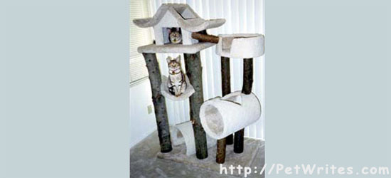 Where Can You Find Great Cat Trees for Big Cats?