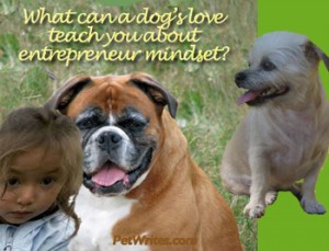 Entrepreneur Mindse- What Can a Dog's Love Teach You About It