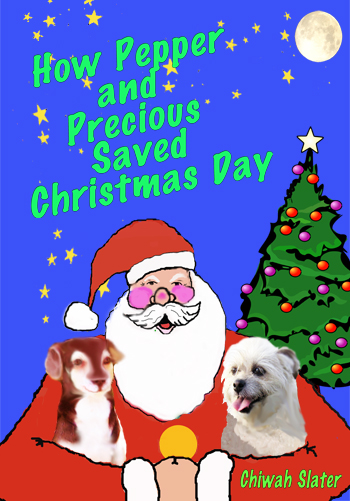 Kids Christmas eBook Cover