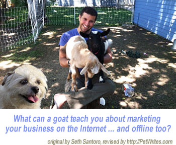 What Can Goats Teach About Internet Business Marketing?
